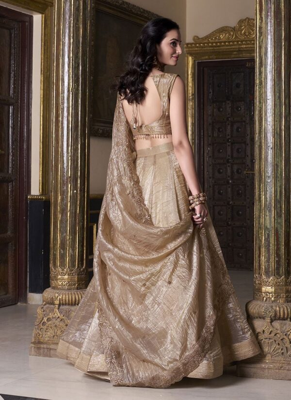 Beige crush silk umbrella lehenga choli with zari sequin work back view